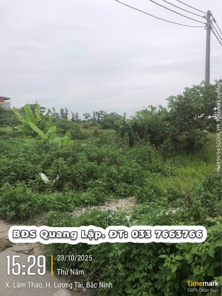 Đất nền Lâm Thao, Bắc Ninh 100m² - Lô góc view cánh đồng tuyệt đẹp!