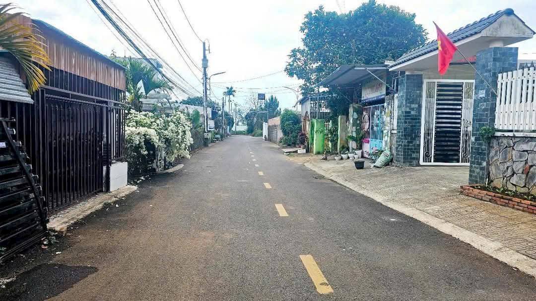 Đất nền hẻm 177 Lý Thường Kiệt, Bảo Lộc 255.6m² giá 3.9 tỷ - Đầu tư sinh lời ngay!