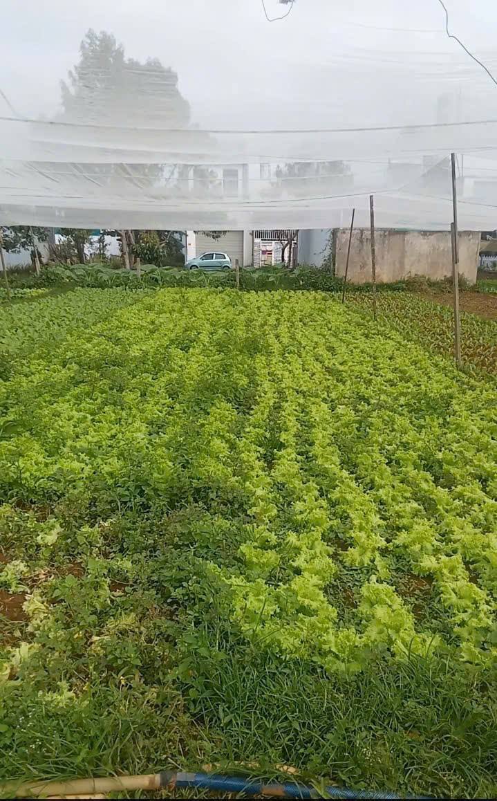 Đất nền Bảo Lộc 105m² giá 820 triệu - Sổ đỏ chính chủ, thổ cư