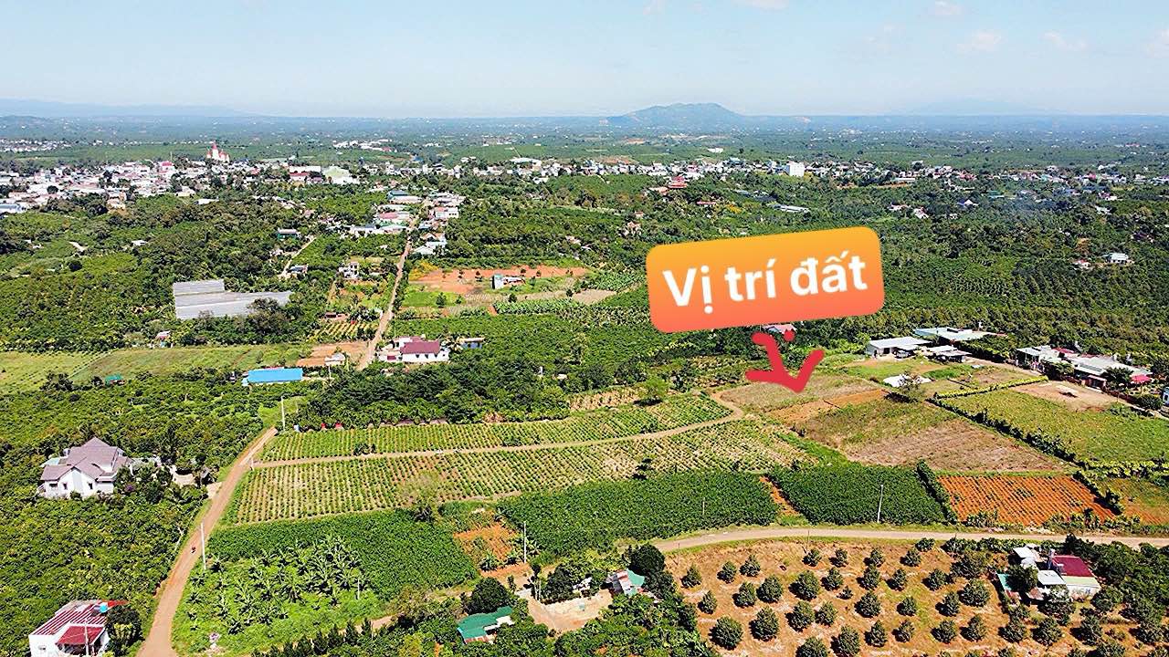 Đất nền Lộc An 100m² giá 400 triệu - Góc 2 mặt tiền, sổ hồng chính chủ!