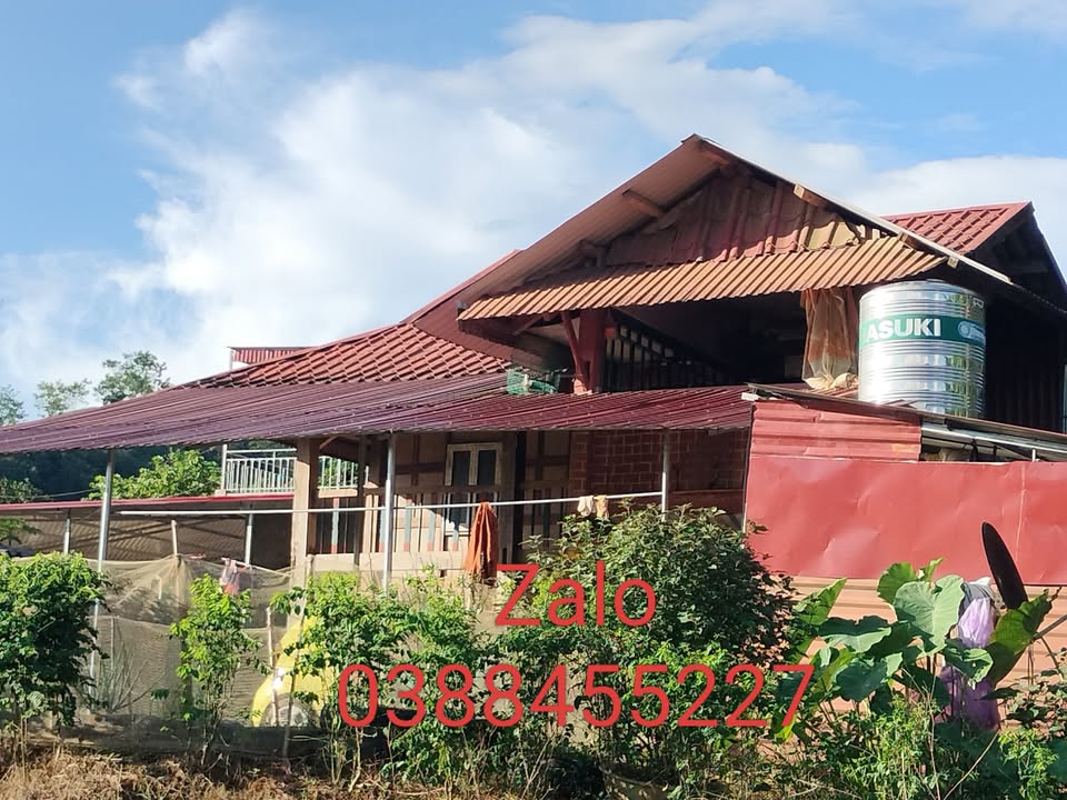 Đất nghỉ dưỡng Chiềng Khoa, Vân Hồ 3000m² chỉ 1.25 tỷ - Cơ hội đầu tư tuyệt vời!