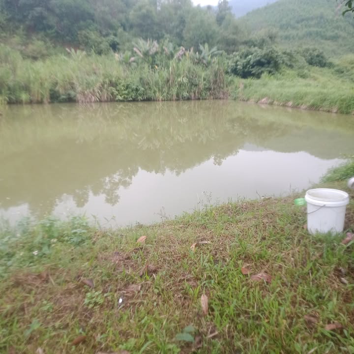 Đất vườn 34,000m² tại Kỳ Sơn Hòa Bình - Pháp lý rõ ràng, giá thỏa thuận!