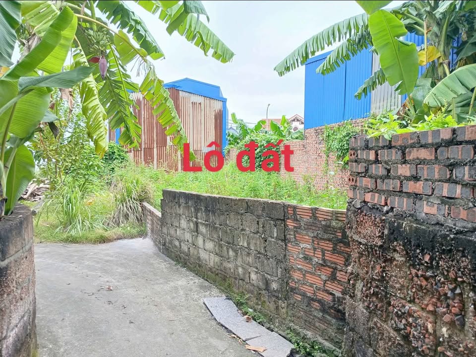 Lô Đất Tại Thôn 2 Hoàng Động, Thủy Nguyên 83m² Chỉ 900 Triệu - Cơ Hội Đầu Tư Sinh Lời!