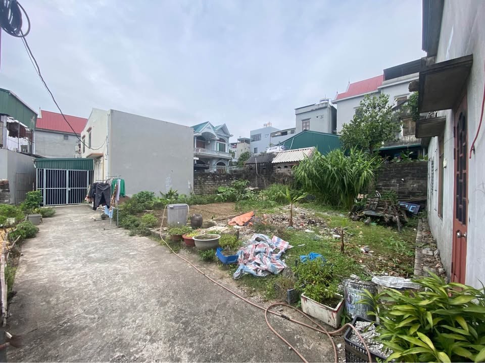 Đất nền chính chủ tại ngõ 9 Bình An, Cẩm Phú 50m² giá chỉ 400 triệu - Cơ hội đầu tư tuyệt vời!