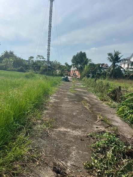 Đất nền Bình Tân, La Gi 176m² giá chỉ 560 triệu - Cơ hội đầu tư tuyệt vời!