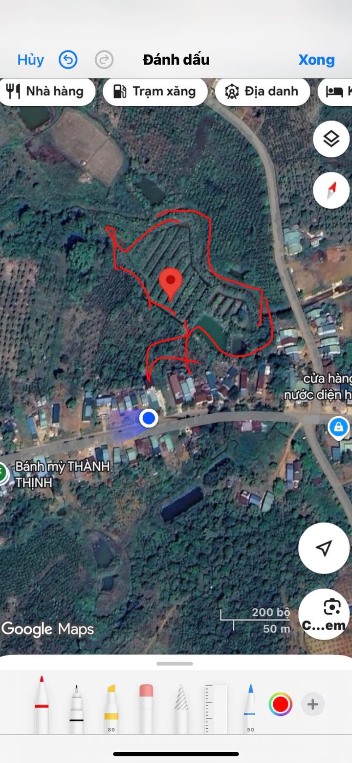 Đất nghỉ dưỡng 9000m² tại Cát Tiên Lâm Đồng giá 4.5 tỷ - Không khí tuyệt vời như Bảo Lộc!