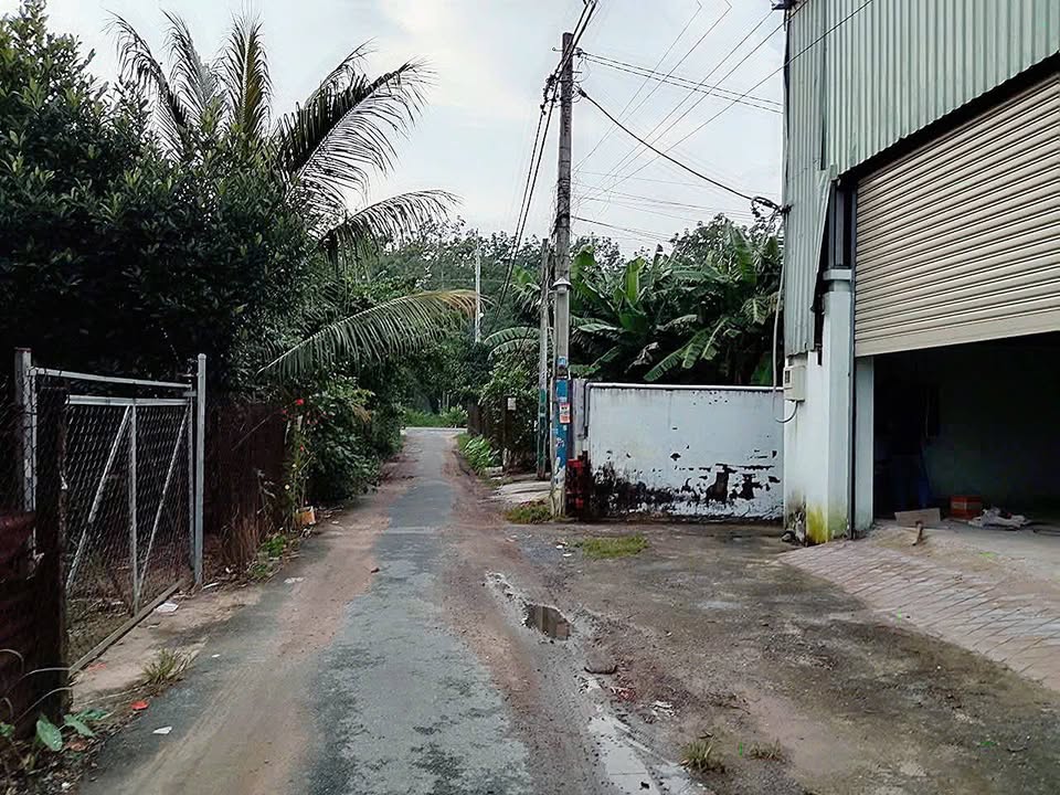 Xưởng cho thuê tại Tân Thạnh Đông, Củ Chi 600m² giá chỉ 25 triệu/tháng - Đường nhựa thuận tiện