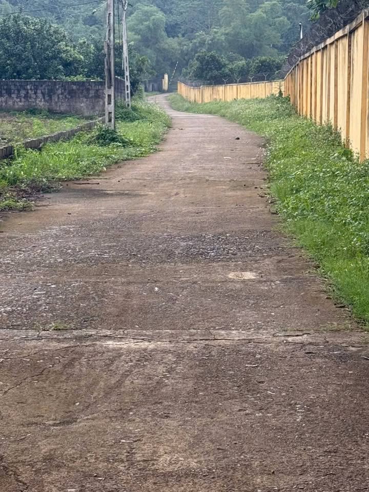 Đất thổ cư Phú Thành, Lạc Thủy 810m² giá chỉ 2.187 tỷ - Pháp lý rõ ràng!