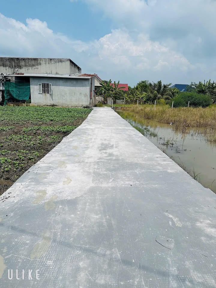 Đất nền Phước Lý, Cần Giuộc 4,7 dãy 670 triệu - Sổ hồng chính chủ, đầu tư sinh lời!