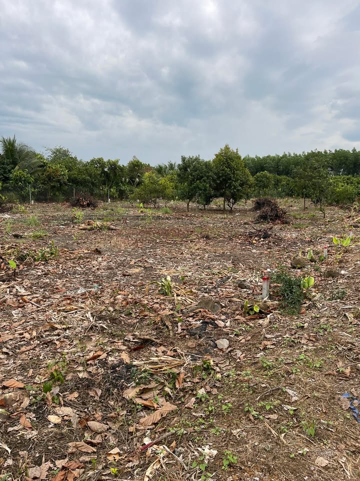 Đất thổ cư Bình Lộc, TP. Long Khánh 140m² giá 580 triệu - Sổ riêng sang tên ngay!