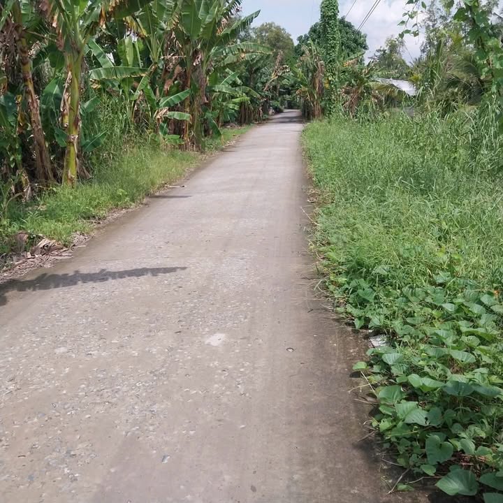 Đất Lúa 9,535m² Khu Vực 5 Phường Ô Môn, Giá 5.499 Tỷ - Đầu Tư Lâu Dài