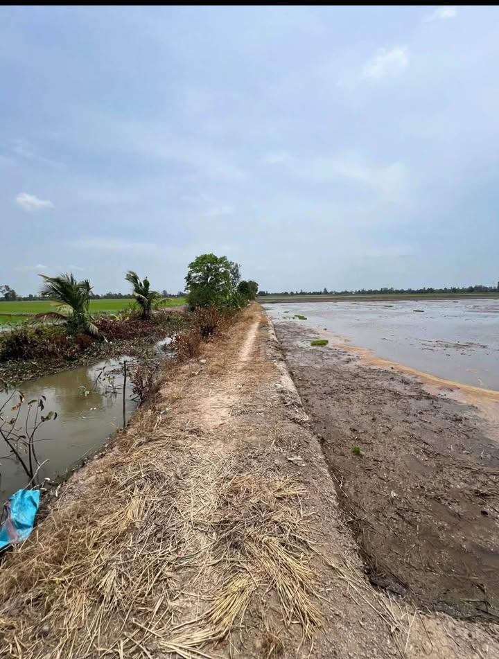 Đất nông nghiệp Vĩnh Khánh, Thoại Sơn 29 công - Sổ đỏ chính chủ, giá tốt