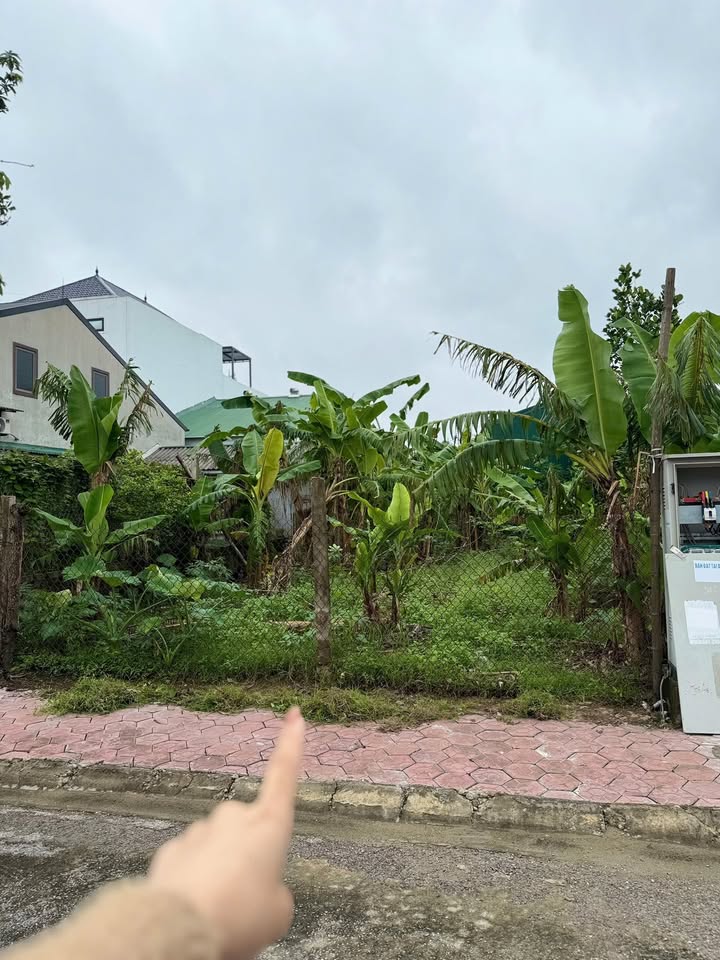 Đất tái định cư Xuân Đồng Nghi Đức 150m² giá 4 tỷ - Đầu tư sinh lời cao!