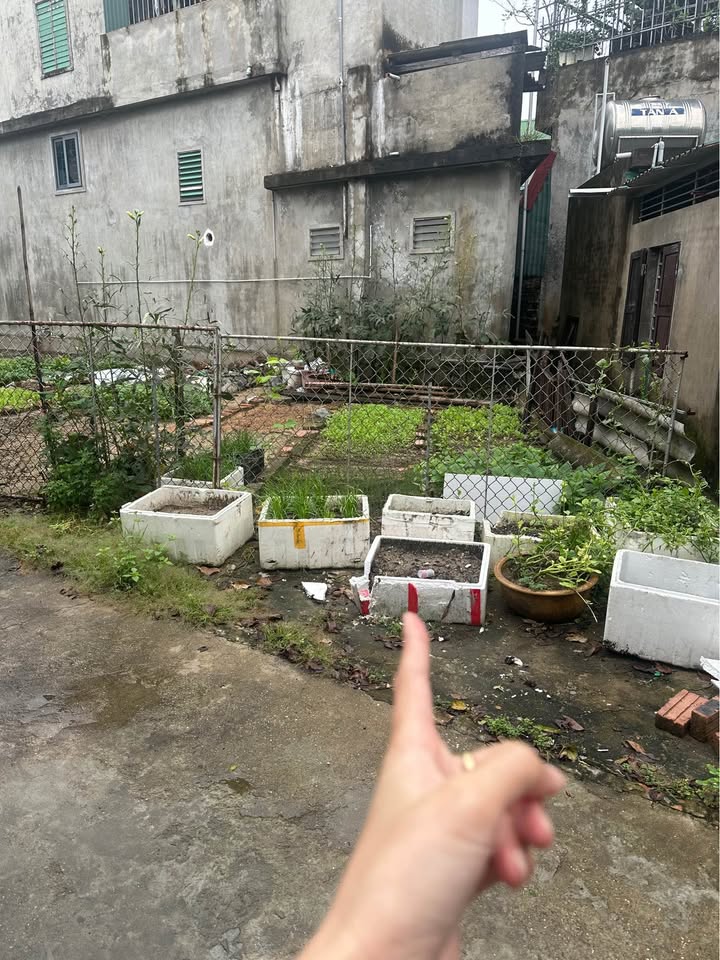 Đất nền Nghi Kim 59m² giá 1.6 tỷ - Chính chủ bán gấp!