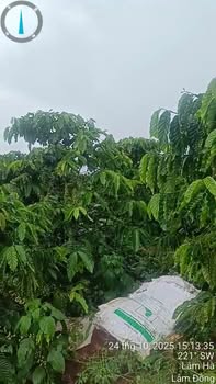 Đất nền thổ cư Tân Hà 360m² giá 720 triệu - Đầu tư sinh lời ngay!