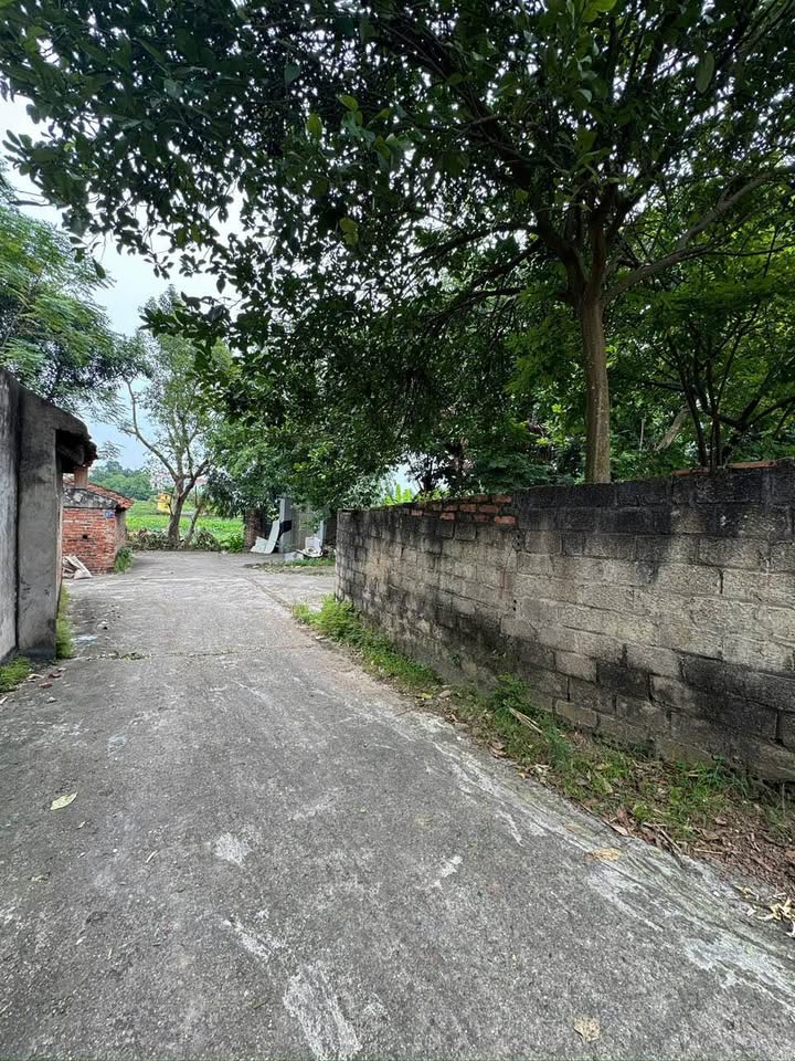 Đất nền Nguyệt Cư, Việt Trì 120m² giá 2.3 tỷ - Cơ hội đầu tư vàng!