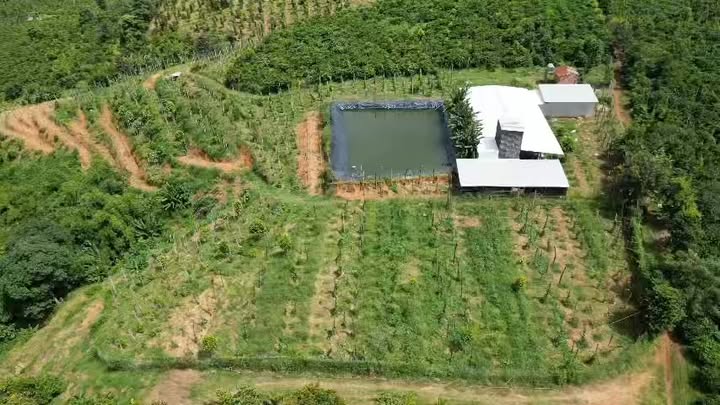 Đất đẹp 1ha tại Đắk Mâm, Krông Nô giá 4.5 tỷ - Sổ đỏ đầy đủ!