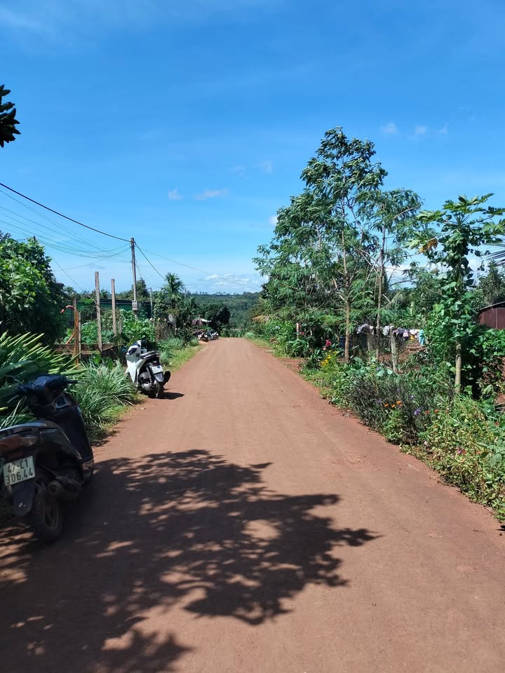 Đất thổ cư Đ. Mai Xuân Thưởng - P. Đạt Hiếu, 2500m² giá 750 triệu - Hướng Bắc, khu dân cư sầm uất!