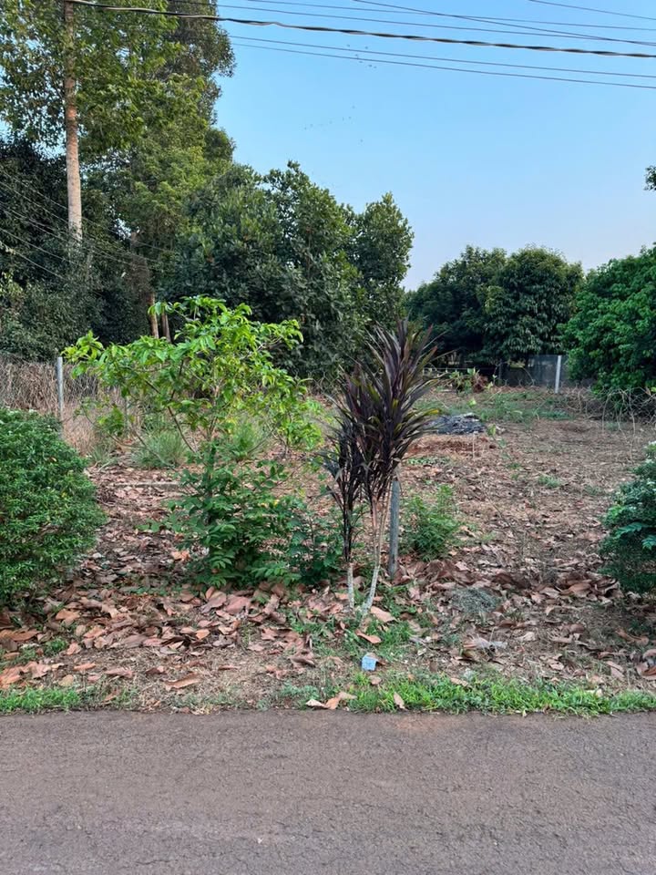 Đất nền thổ cư 125m² ấp Nông Doanh, xã Xuân Định - Cơ hội đầu tư tuyệt vời!