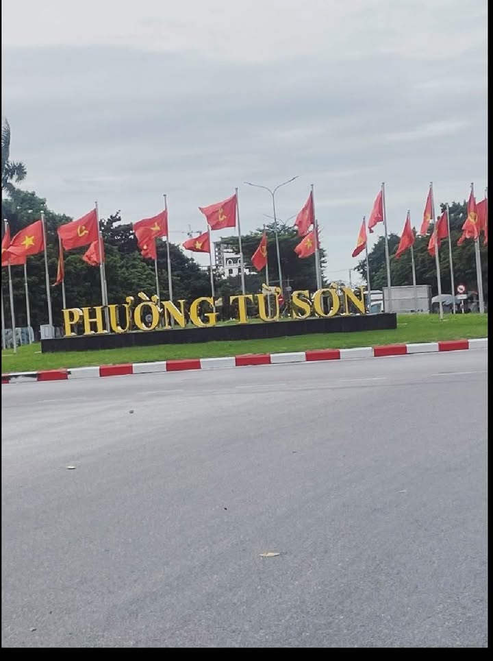 Biệt thự phân lô Từ Sơn 396m² giá 20 tỷ - Vị trí vàng, đầu tư thông minh!