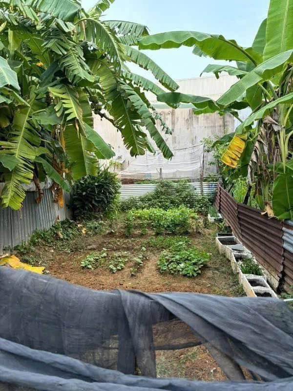 Đất nền Phước Tân Biên Hòa 80m² giá 750 triệu - Đất sạch, hỗ trợ xây dựng!