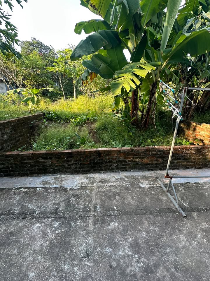 Đất nền Đồng Tháp, Đan Phượng 60m² giá 3 tỷ - Vị trí đắc địa, giao thông thuận lợi!