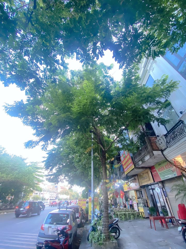 Nhà mặt phố Trần Nhật Duật, Hoàn Kiếm, 24m² giá 14.5 tỷ - Kinh doanh sầm uất!