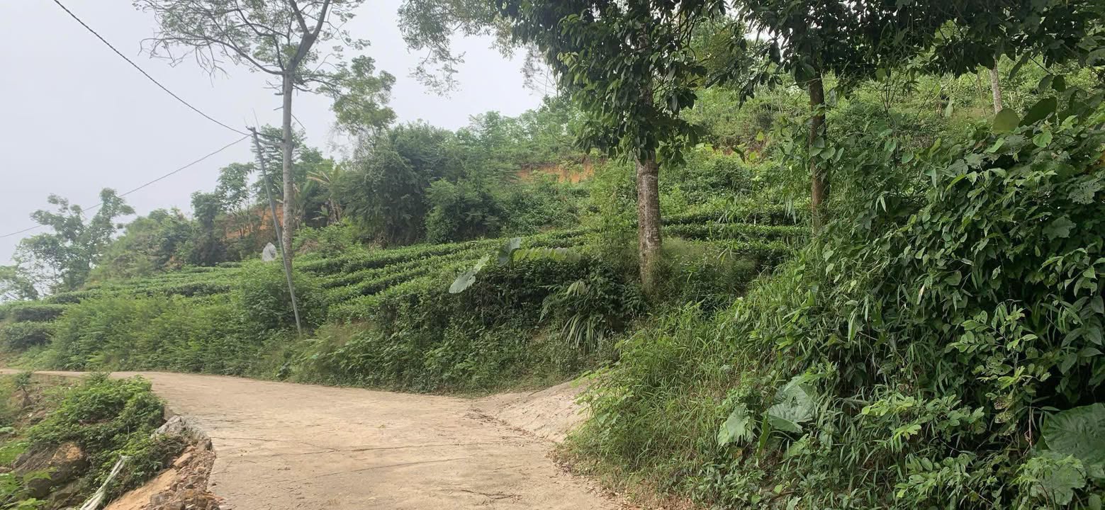 Đất nền Văn Lăng, Đồng Hỷ 800m² giá 295 triệu - Cơ hội đầu tư hấp dẫn!