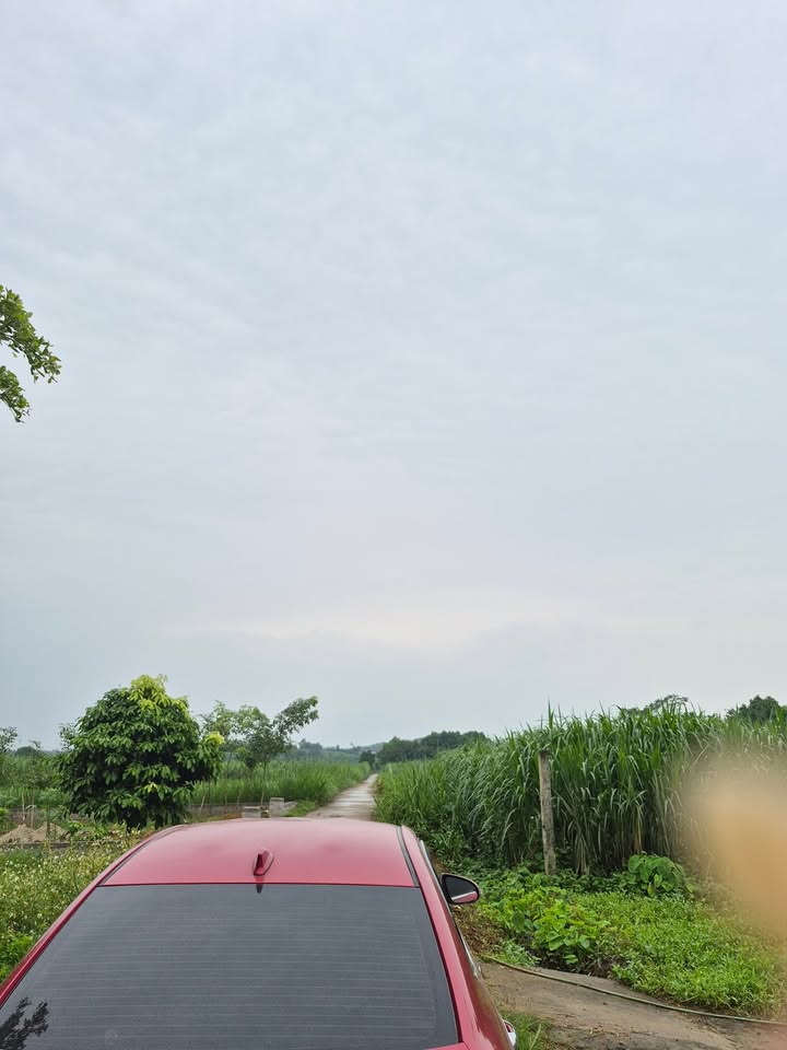 Đất Yên Bài Ba Vì 300m² giá 20 tỷ - Cơ hội đầu tư tuyệt vời!