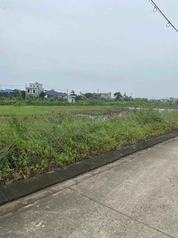 Đất nền Ninh Sơn 150m² giá 3.9 tỷ - Cơ hội đầu tư sinh lời!