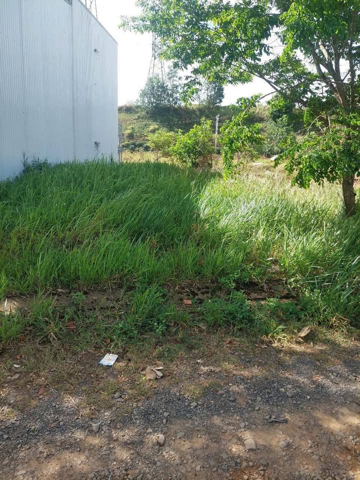 Đất nền khu đô thị Bảo Lộc Capital 75m² giá 1.27 tỷ - Cần bán gấp!