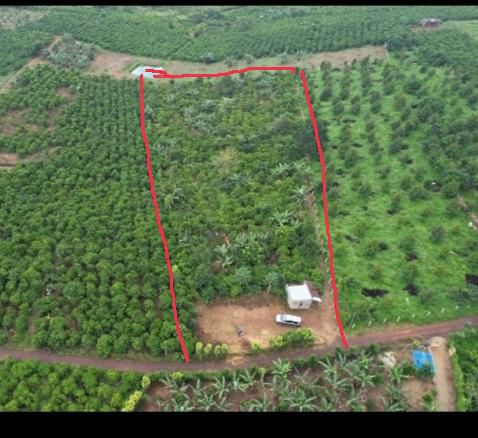 Đất thổ cư 3.600m² tại Thôn Tứ Quý, Lộc An - Chỉ 750 triệu, đầu tư sinh lời!