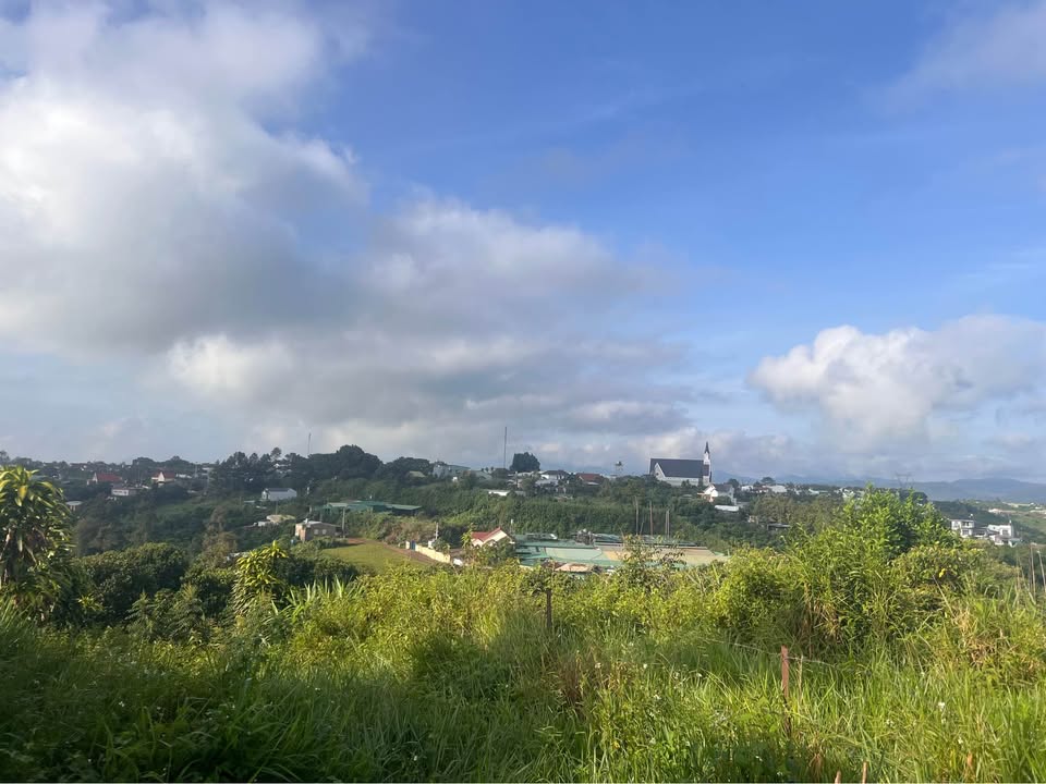 Đất thổ cư 2000m² hẻm Nguyễn Trãi, Bảo Lộc - Giá 4.5 tỷ, Đầu tư sinh lời!