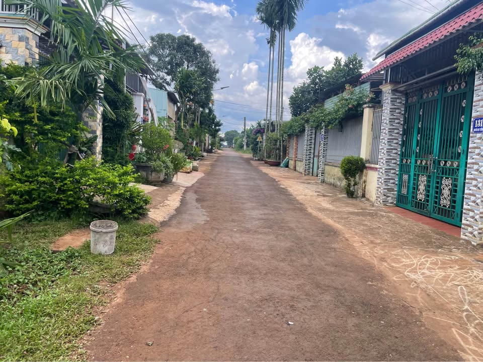 Đất Mặt tiền đường Nguyễn Huy Tưởng, Pleiku 202.4m² giá 790 triệu - Bán gấp!