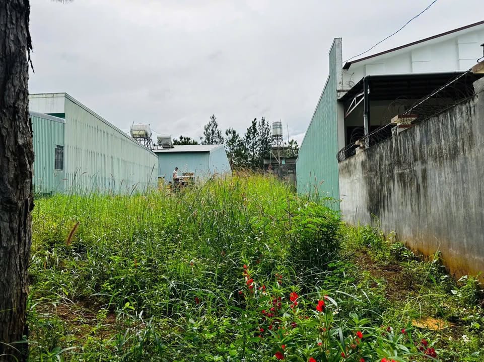 Đất nền Khu dân cư An Phú, Trần Nhật Duật, 150m² giá 700 triệu - Đầu tư sinh lời cao!