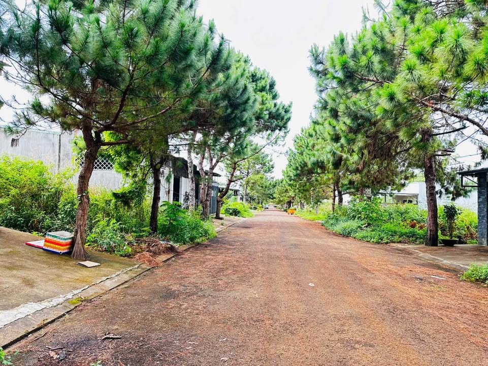 Đất nền Khu dân cư Phú An, Gia Lai 300m² giá 1.5 tỷ - Vị trí lý tưởng cho nhà ở hoặc kinh doanh