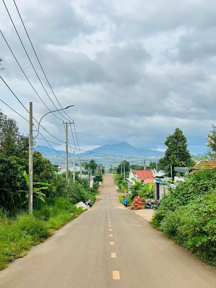 Đất mặt tiền Bùi Đỉnh Tuý, Pleiku 320m² giá 3 tỷ - Cơ hội đầu tư tuyệt vời!