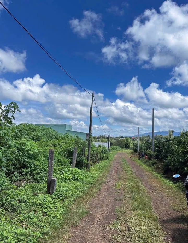 Đất thổ cư Hẻm 104 Trần Văn Ơn 125m² giá 400 triệu - Cơ hội đầu tư tuyệt vời!