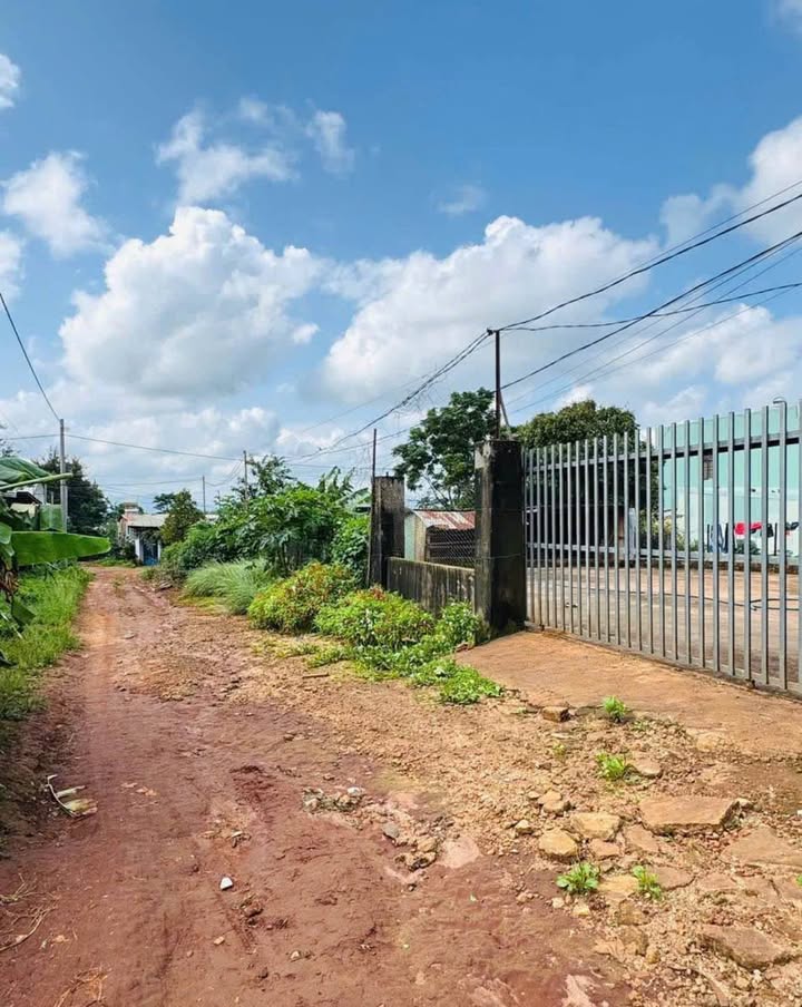 Đất nền khu vực Đặng Trần Côn, Pleiku 230m² giá 1.1 tỷ - Đầu tư sinh lời ngay!