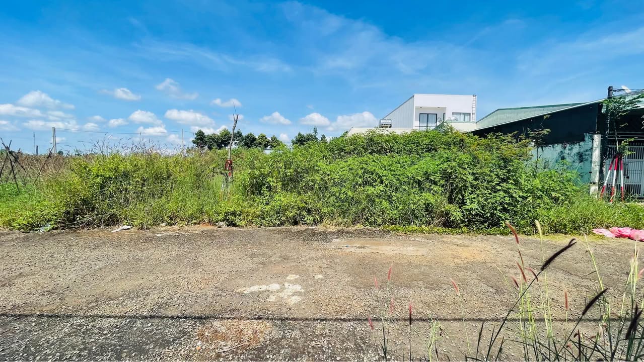 Đất nền thổ cư Đặng Văn Ngữ, Pleiku 146.25m² giá 1.3 tỷ - Cơ hội đầu tư tuyệt vời!