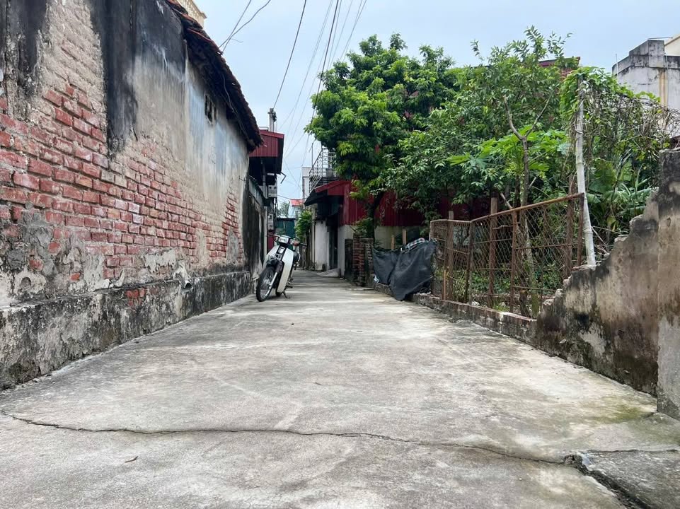 Đất nền 40m² Bùi Xá, Tam Hưng giá 3 tỷ - Tiềm năng phát triển mạnh mẽ!