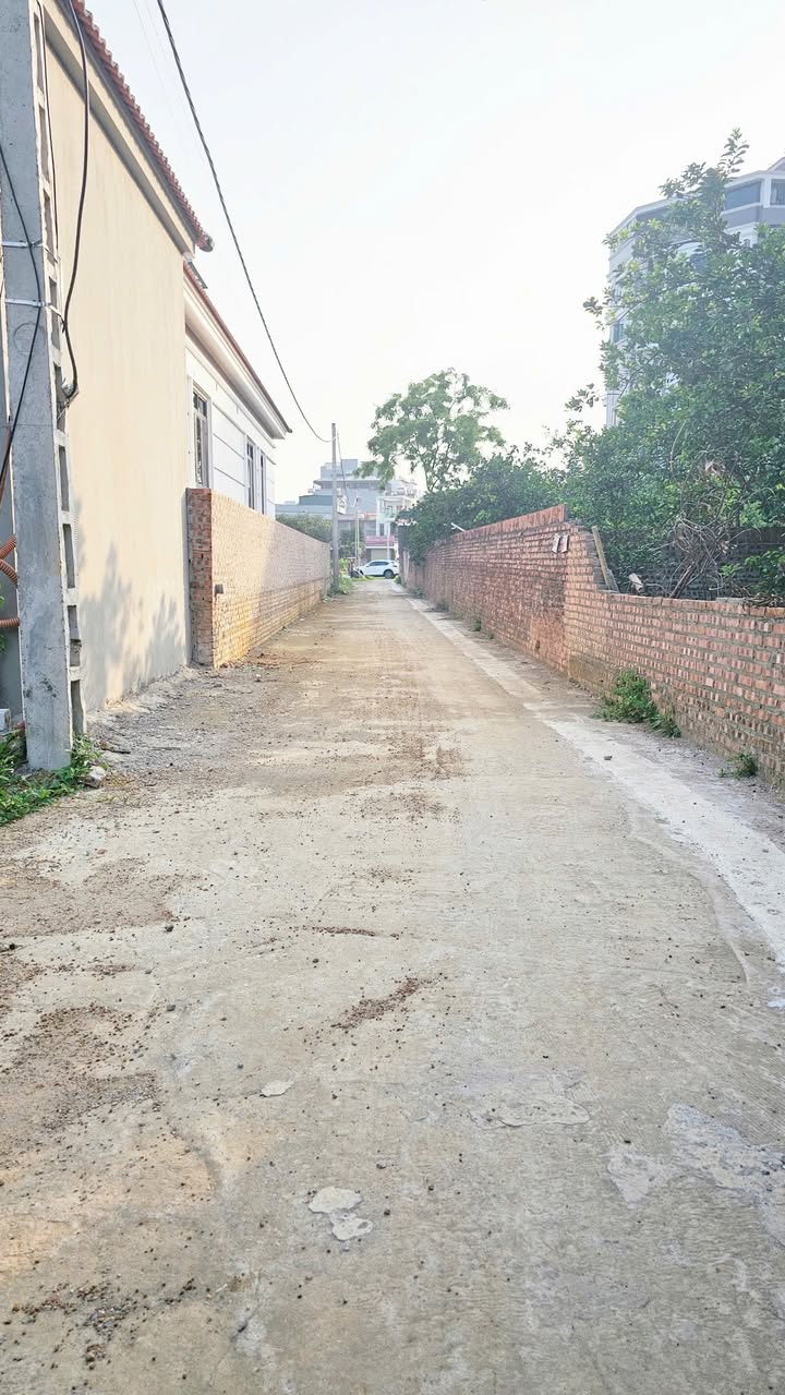 Đất thổ cư Thôn Thái Bình, Thạch Thất 123,7m² giá 3,69 tỷ - Đầu tư sinh lời ngay!