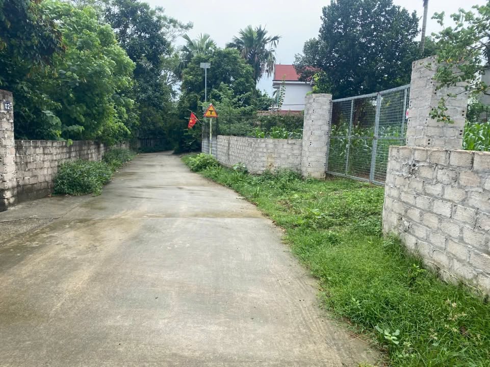 Đất nền đẹp xã Yên Bài, Ba Vì, 400m² giá 3 tỷ - Tiềm năng đầu tư lớn!