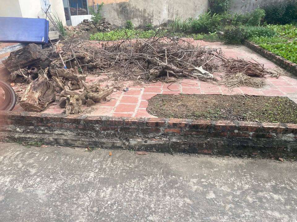 Đất thổ cư xã Tân Dân 46m² giá 1 tỷ - Sổ đỏ chính chủ, giao dịch ngay!