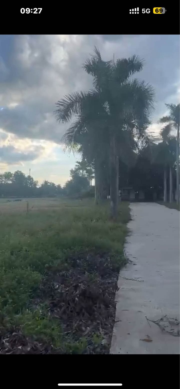 Đất sản xuất 10 hecta tại Nghệ An - Cơ hội đầu tư vàng gần KCN WHA chỉ 52 tỷ!