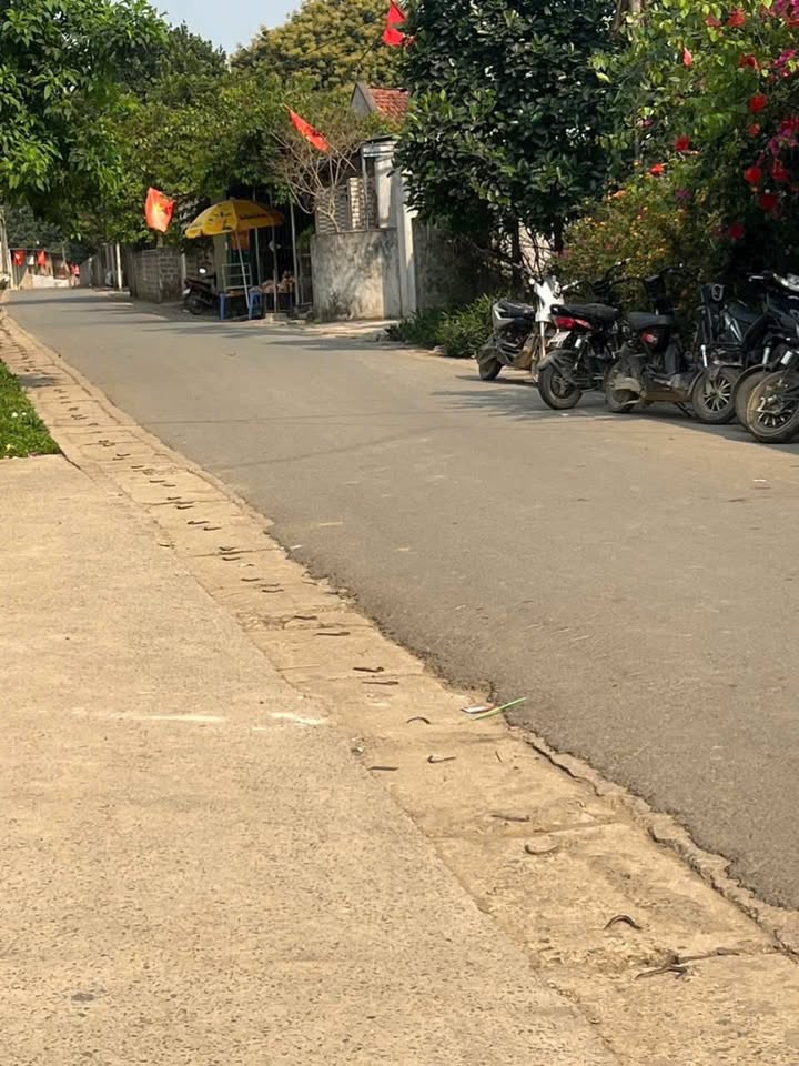 Đất nền Ba Vì 150m² giá chỉ 1 tỷ - Đầu tư sinh lời ngay!