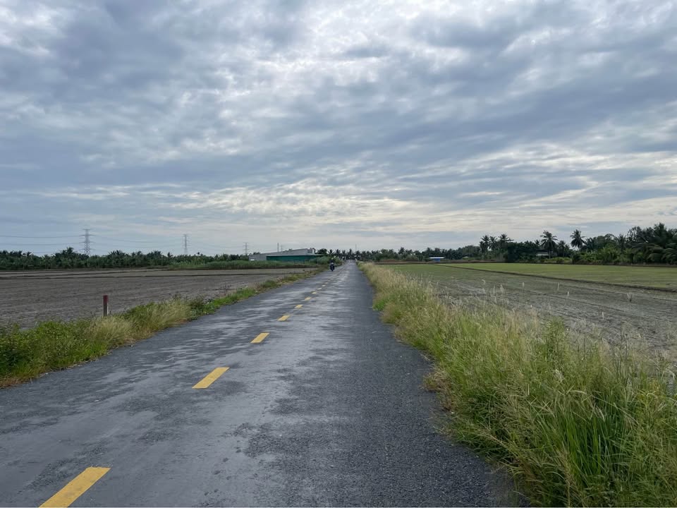 Đất lúa Hồ Đắc Kiện 1500m² giá 1.2 tỷ - Cần bán gấp!