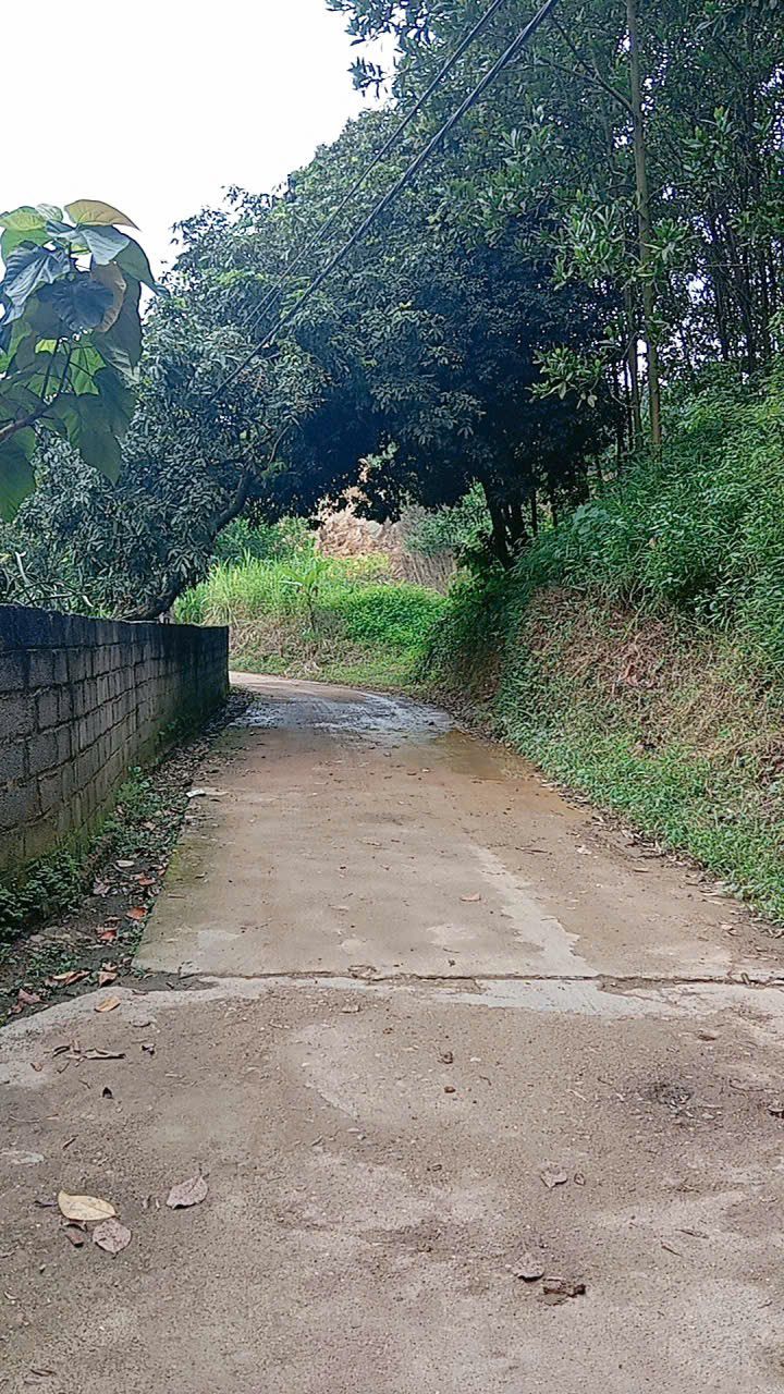 Đất vườn Hóa Thượng Đồng Hỷ 2900m² giá 1.1 tỷ - Cơ hội đầu tư hấp dẫn!