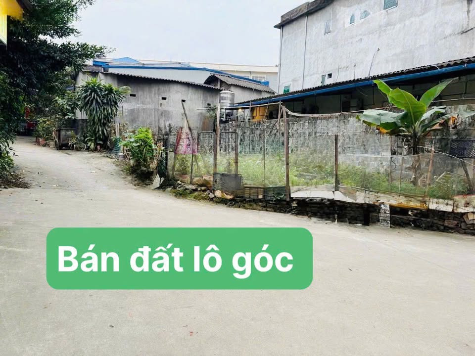 Đất nền Thịnh Đán 75.8m² giá thỏa thuận - Lô góc 2 mặt tiền đắc địa!