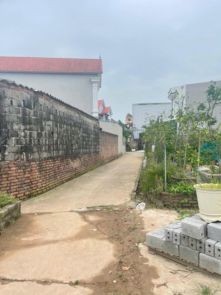 Đất nền Thư Phú, Thường Tín 80m² giá 320 triệu - Đường ô tô vào tận nơi!